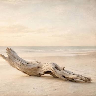 14 oz raindwashed driftwood
